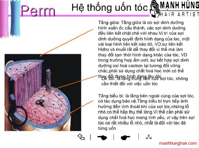 uốn tóc - mạnh hùng hair artist 