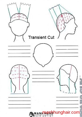 transient-cut